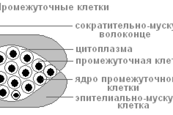 Сайт кракен что это такое