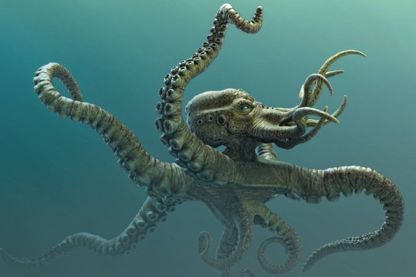 Kraken 9 at клиар ссылка